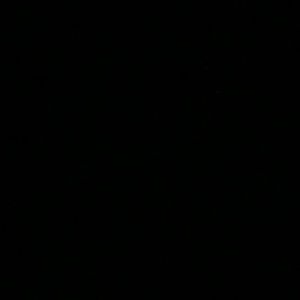 Meet your Posher, Terri